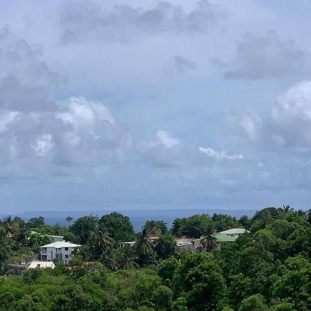Les Villas Du Bambou - Appartement Azul De 1 A 3 Pers Le Gosier  Exteriér fotografie